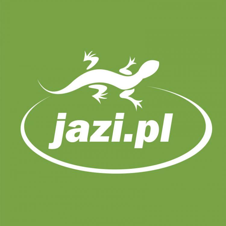Logo dla Jazi.pl - Realizacje